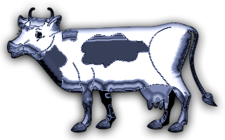 vaches