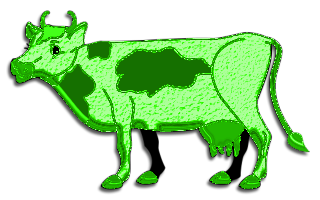 vaches