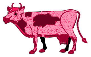 vaches