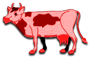 vaches