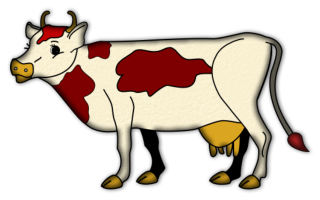 vaches