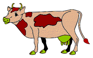 vaches