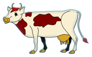 vaches