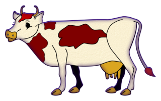 vaches