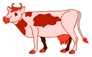 vaches
