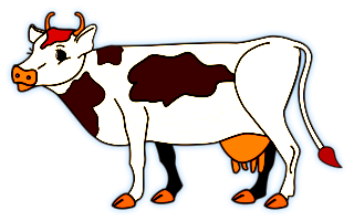 vaches