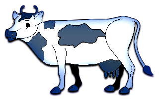 vaches