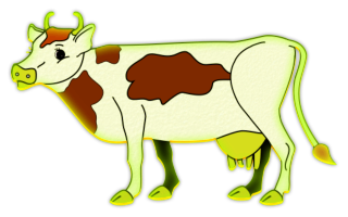 vaches
