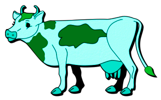 vaches