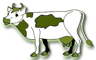 vaches