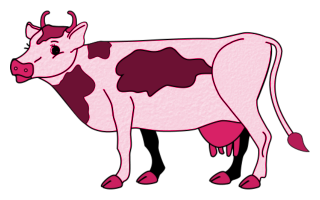 vaches