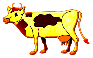 vaches