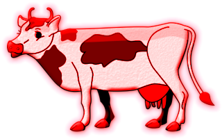 vaches