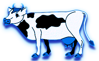 vaches