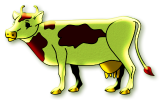 vaches