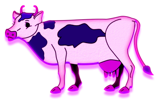 vaches