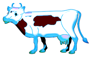 vaches