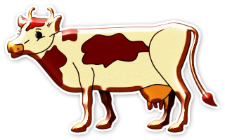 vaches