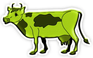 vaches