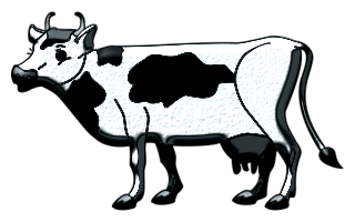 vaches