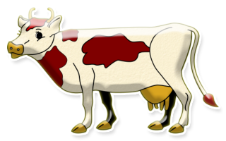 vaches