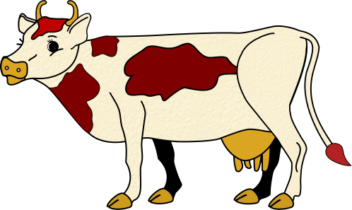 vaches
