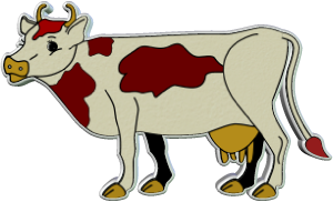 vaches