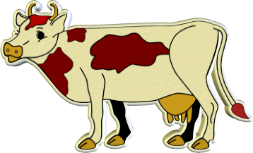 vaches